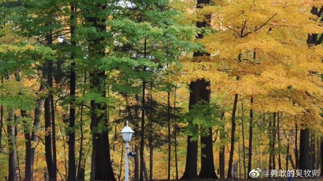 抖音业务自助下单铭云：自助下单助力自媒体业务增长_dy便宜的自助下单平台