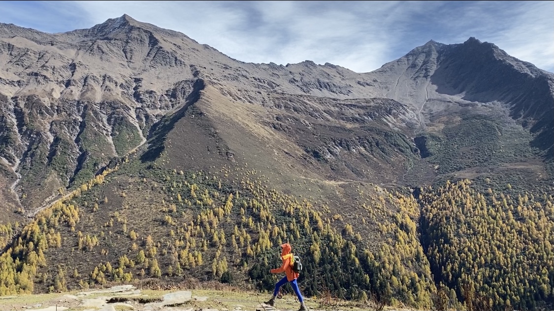 最新口碑推广精准化定制您的选题方向:虚拟商品交易的高效助手,自动发卡全天候,张函瑞直拍